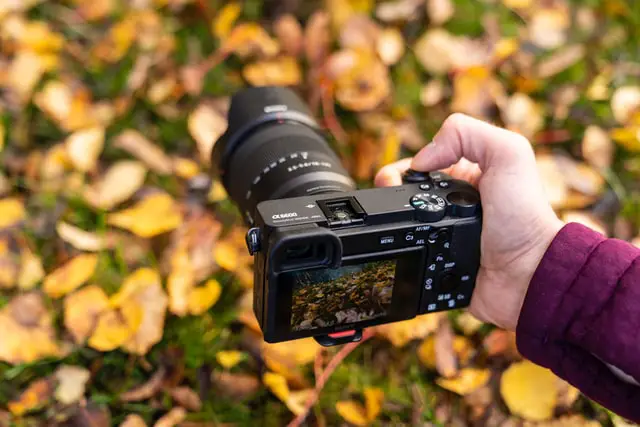 Nikon vs Canon: Difference Between Canon and Nikon Cameras