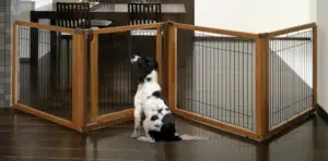 Best pet gate - expandable