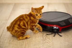 Choosing the Best Robot Vacuum for Pet Hair