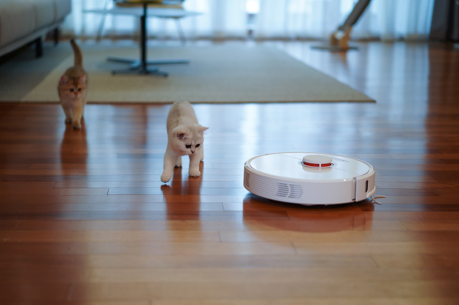 Choosing the Best Robot Vacuum for Pet Hair