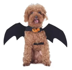 Best Halloween Costumes for Dogs - 5 New Ideas for 2021