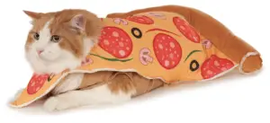 Best Halloween Costumes for Dogs - 5 New Ideas for 2021