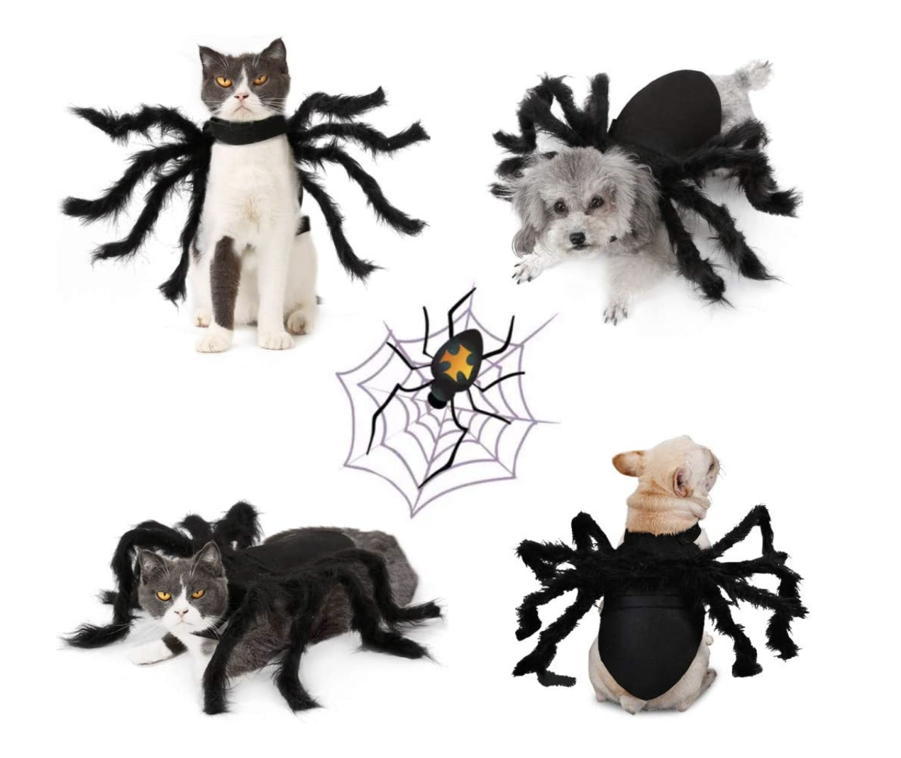 Halloween costumes for dogs 2021