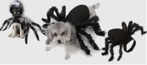 Best Halloween Costumes for Dogs - 5 New Ideas for 2021