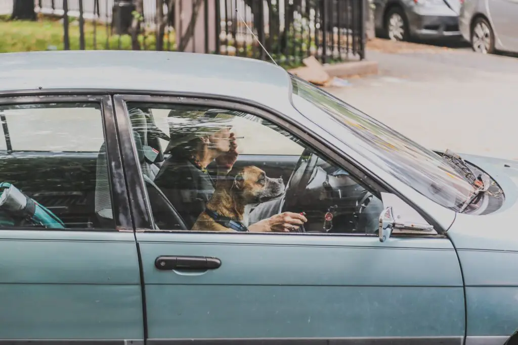 11 Tricks to Remove the Smell of Smoke from the Car